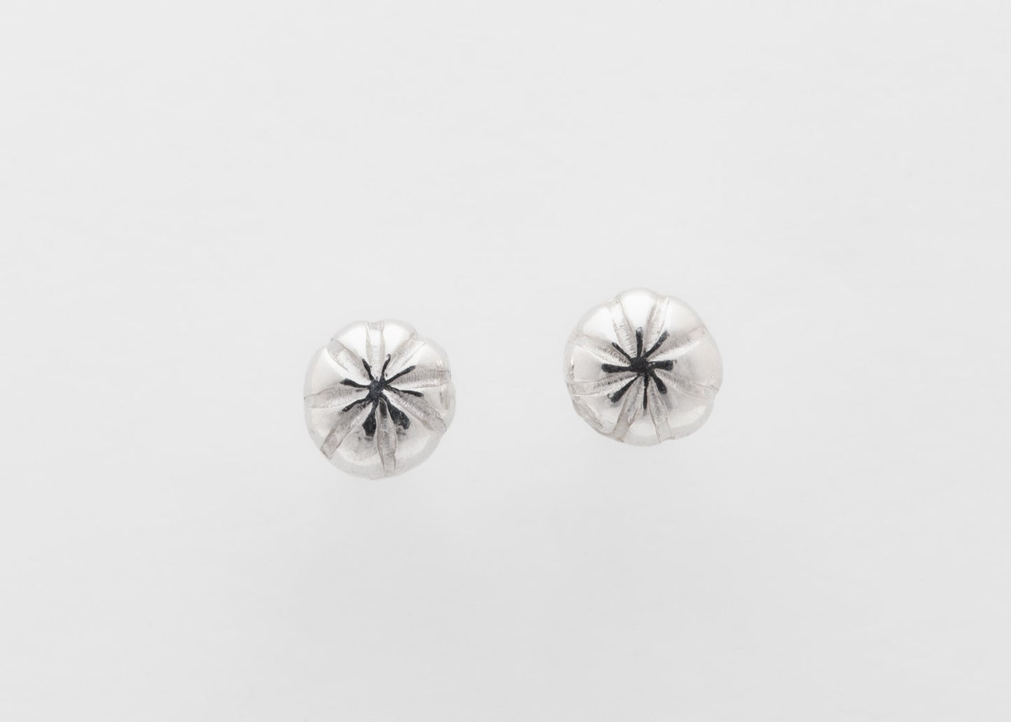 Dea Dia oorstekers zilver