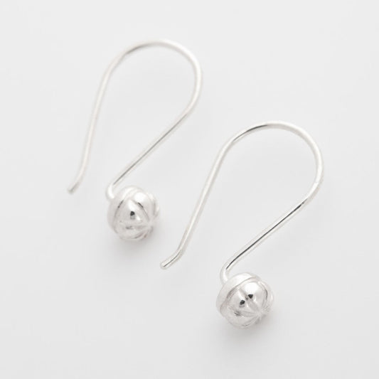 Dea Dia oorhangers zilver