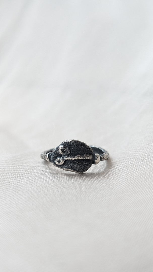 Fortuna Fascinus ring zilver